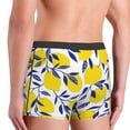 thumbnail image 5 of Fotbe Tropical Lemon Men’s Total Support Pouch Boxer Briefs, X-Temp Cooling, Moisture-Wicking Underwear, Regular, Long-leg and Trunk-XX-Large, 5 of 9