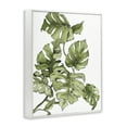 thumbnail image 4 of Stupell Industries Falling Monstera Leaves Botanical & Floral Painting White Framed Art Print Wall Art, 24 x 30, 4 of 10