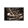 thumbnail image 4 of Fun World FW91475 10 Pc. Skeleton Bag O' Bones Halloween Decoration, 4 of 4