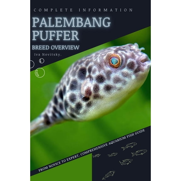 Palembang Puffer : From Novice to Expert. Comprehensive Aquarium Fish Guide (Paperback)