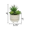 thumbnail image 2 of Succulent Mix in 5" Geo Gold Footed Ceramic Planter, 2 of 2