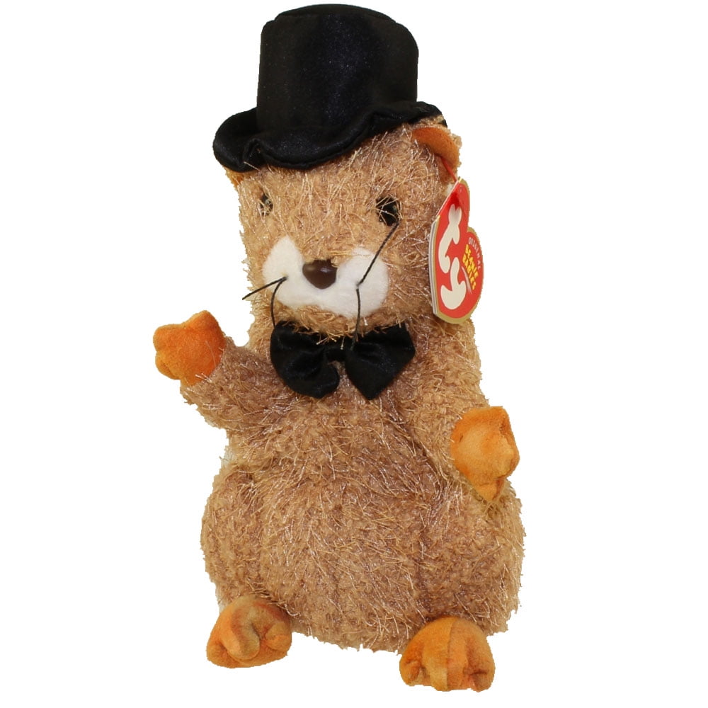 TY PUNXSUTAWN-E PHIL 2004 the GROUNDHOG BEANIE BABY MINT with MINT TAGS 