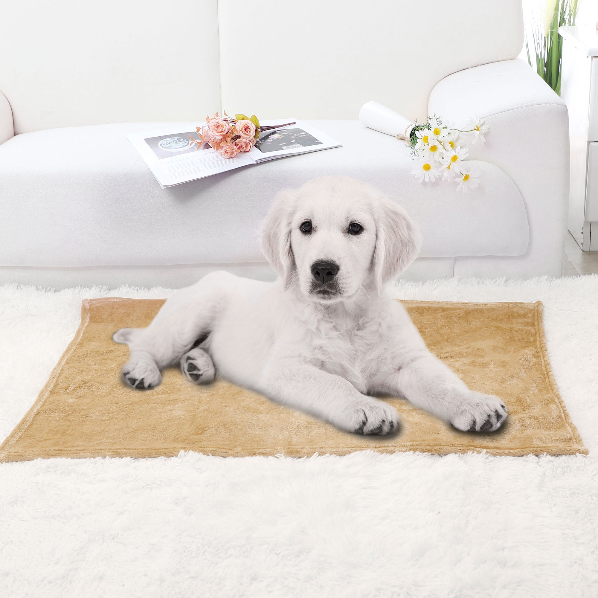 Home Bedroom Soft Microplush Fleece Throw Blanket 70 X 100cm Camel Color Walmart Com Walmart Com Home Bedroom Soft Microplush Fleece Throw Blanket 70 X 100cm Camel Color Walmart Com Walmart Com