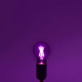 thumbnail image 3 of Luxrite A19 Edison LED Light Bulb, 4.5W=60W Colored Glass Filament, UL Listed, E26 Base, Indoor Outdoor Purple, 3 of 6