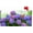 Purple, variant on Flowers Mailbox Covers Magnetic, Standard Size 18 X 21 inch,Spring Wild Flowers Mailbox Decor for Home & Garden, Reusable, Easy-Install Weatherproof Wrap