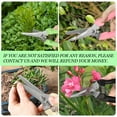 thumbnail image 3 of Muerk Premium garden scissors,  pruning shears for gardening, pruners for flower, bushes, rose and fruit tree, use for florist, yard and orchard the plant clippers, sharp white steel anvil snip, 3 of 6