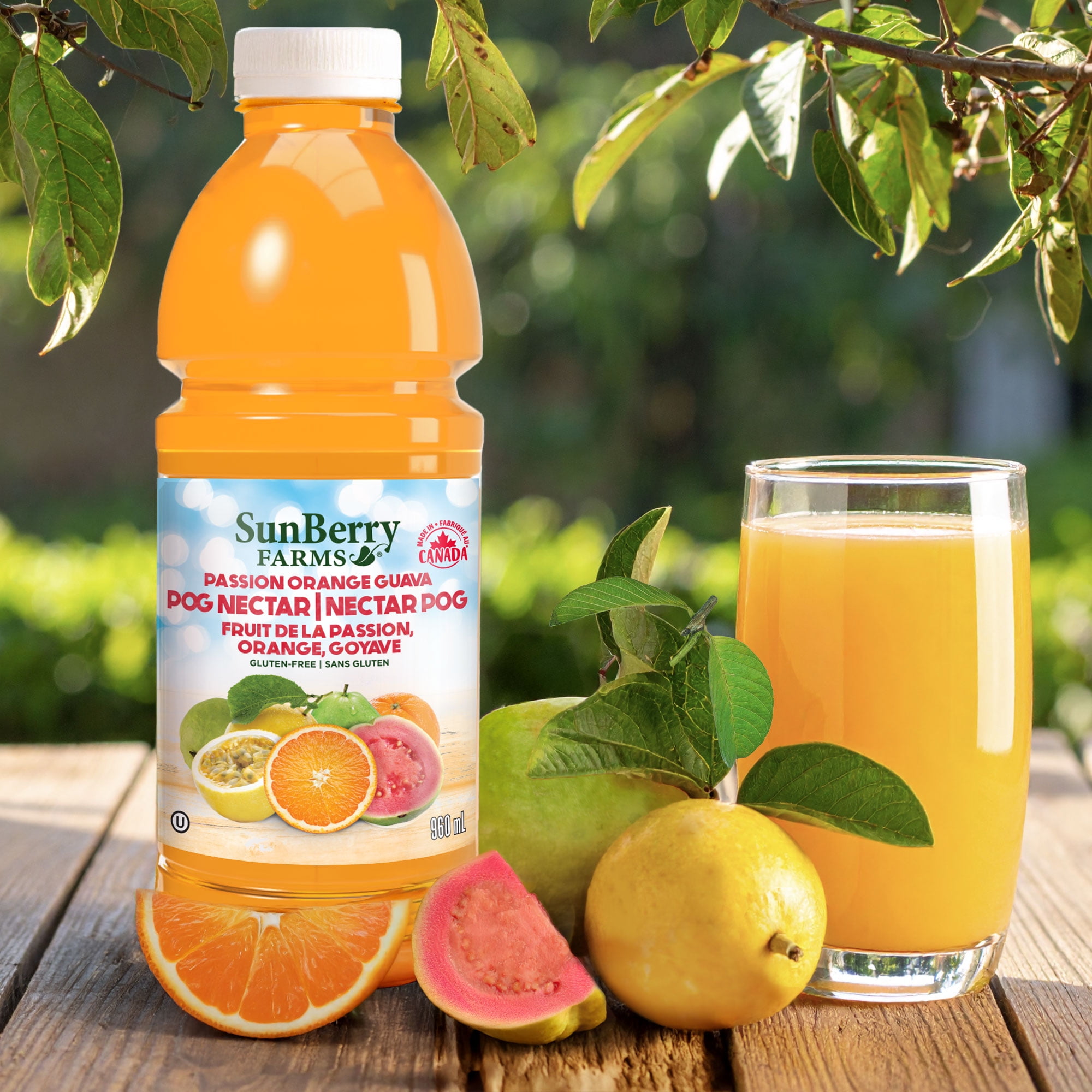 SunBerry Farms Nectar de Goyave Orange Passion, 960 ml Volume/quantité – 960 ml/1