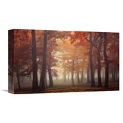 Global Gallery Ildiko Neer 'Feel' Canvas Wall Art