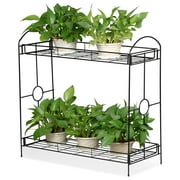 Topeakmart Indoor/Outdoor 2-Tier Metal Flower Stand Plant Stand Rack w/Tray Design Black
