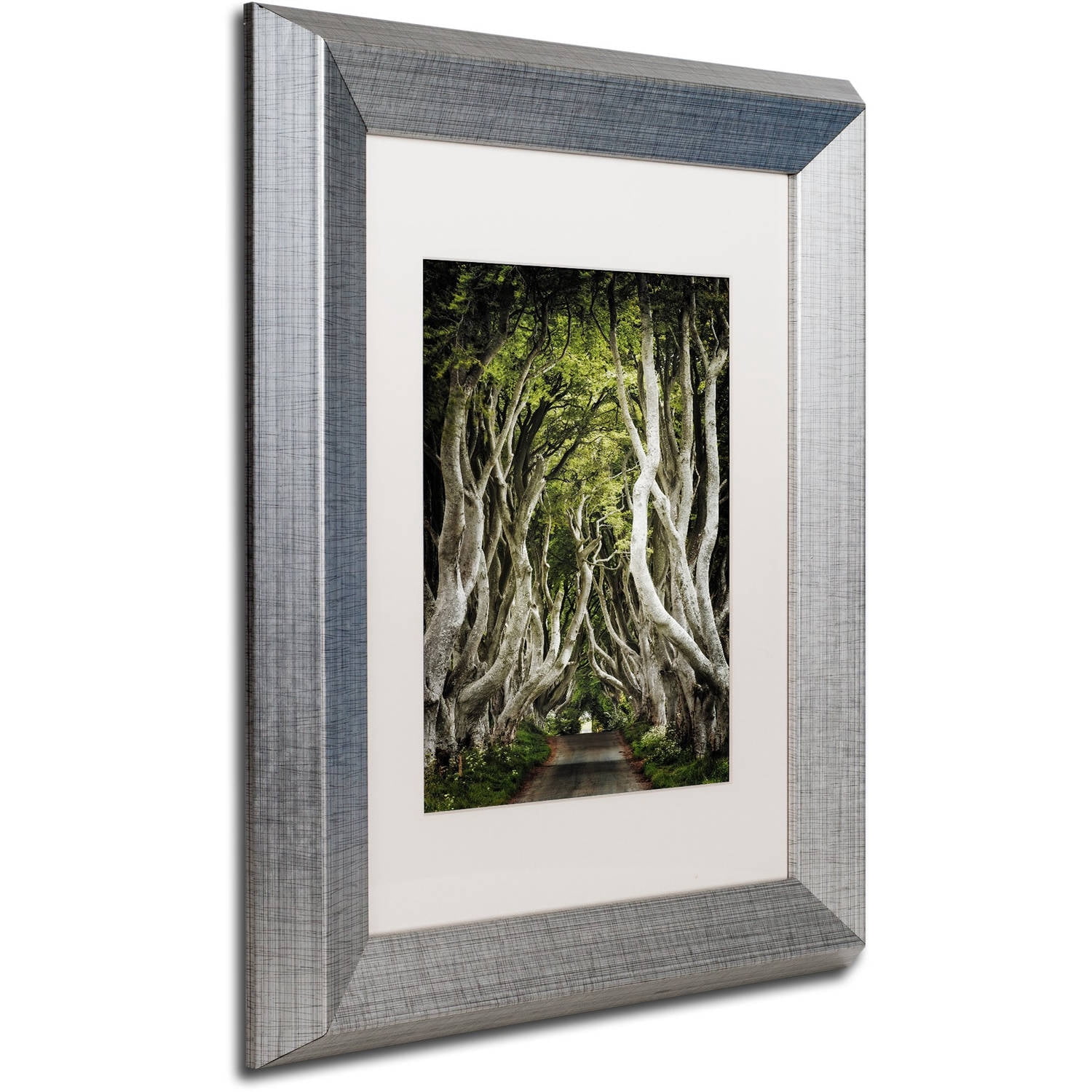 Trademark Fine Art "Romantic Avenue" Canvas Art by Philippe Sainte-Laudy, White Matte, Silver Frame