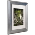 thumbnail image 2 of Trademark Fine Art "Romantic Avenue" Canvas Art by Philippe Sainte-Laudy, White Matte, Silver Frame, 2 of 4