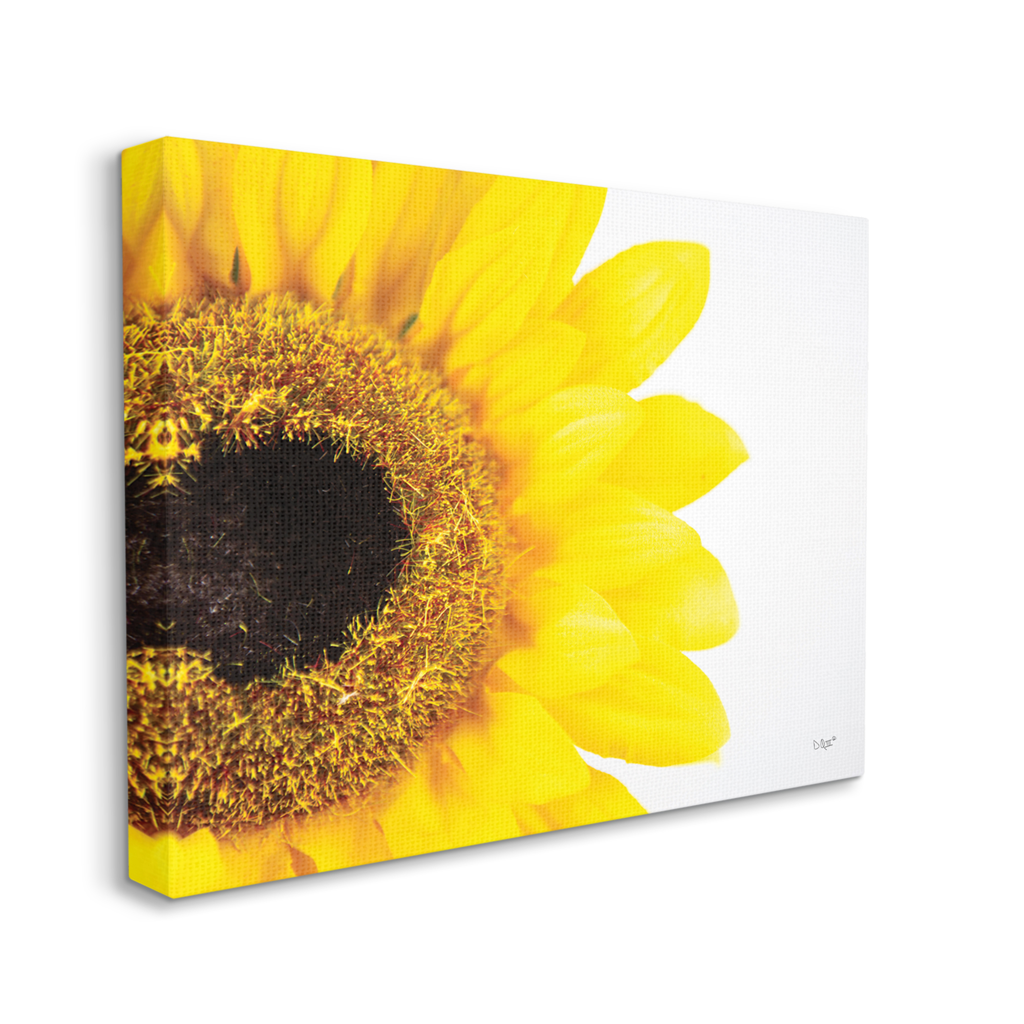Stupell Industries Detail of Sunflower Disk And Petals Photograph,48 x 36, Design by Donnie Quillen