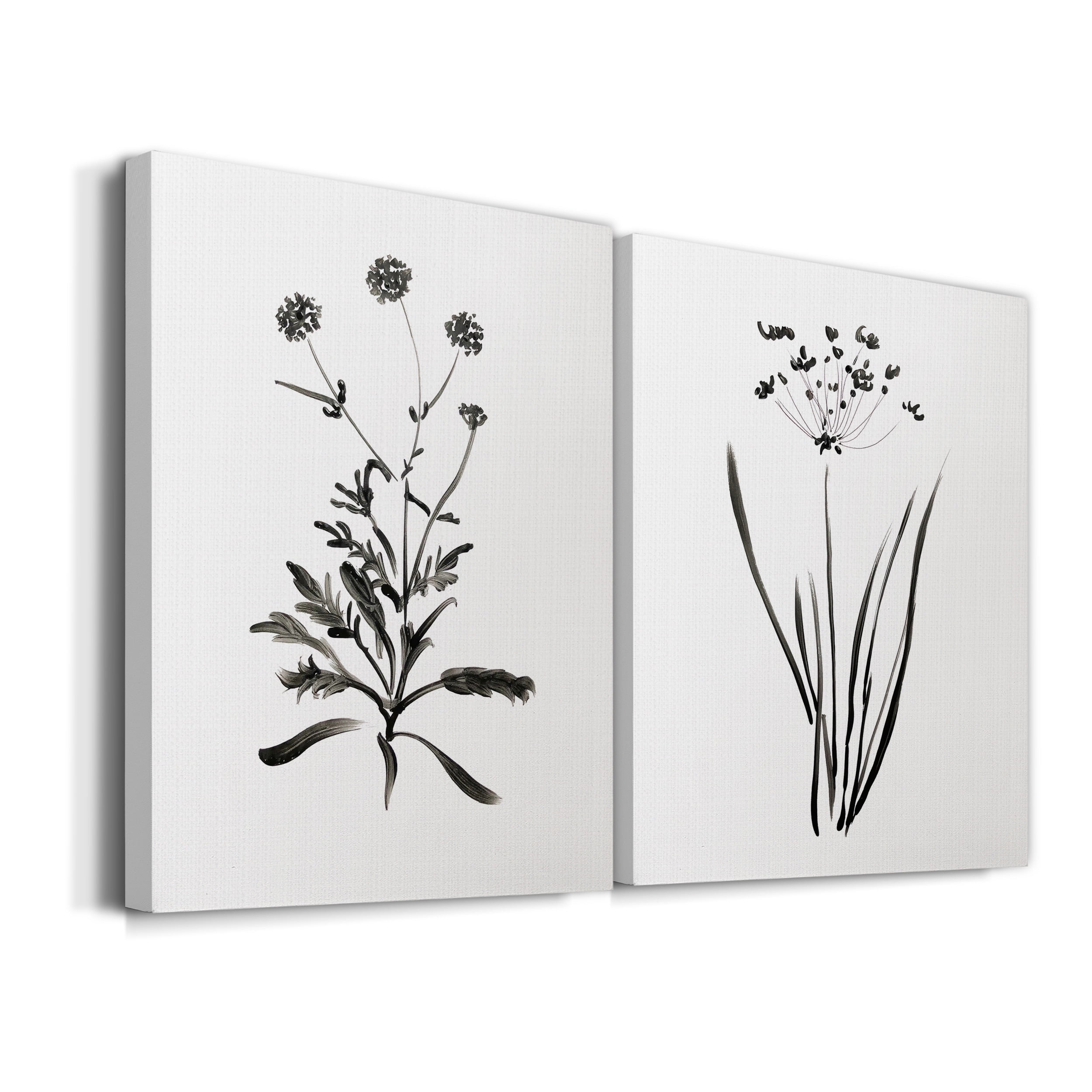 Inky Botanical I Premium Gallery Wrapped Canvas - Ready to Hang - Set of 2 - 40 x 60 Each