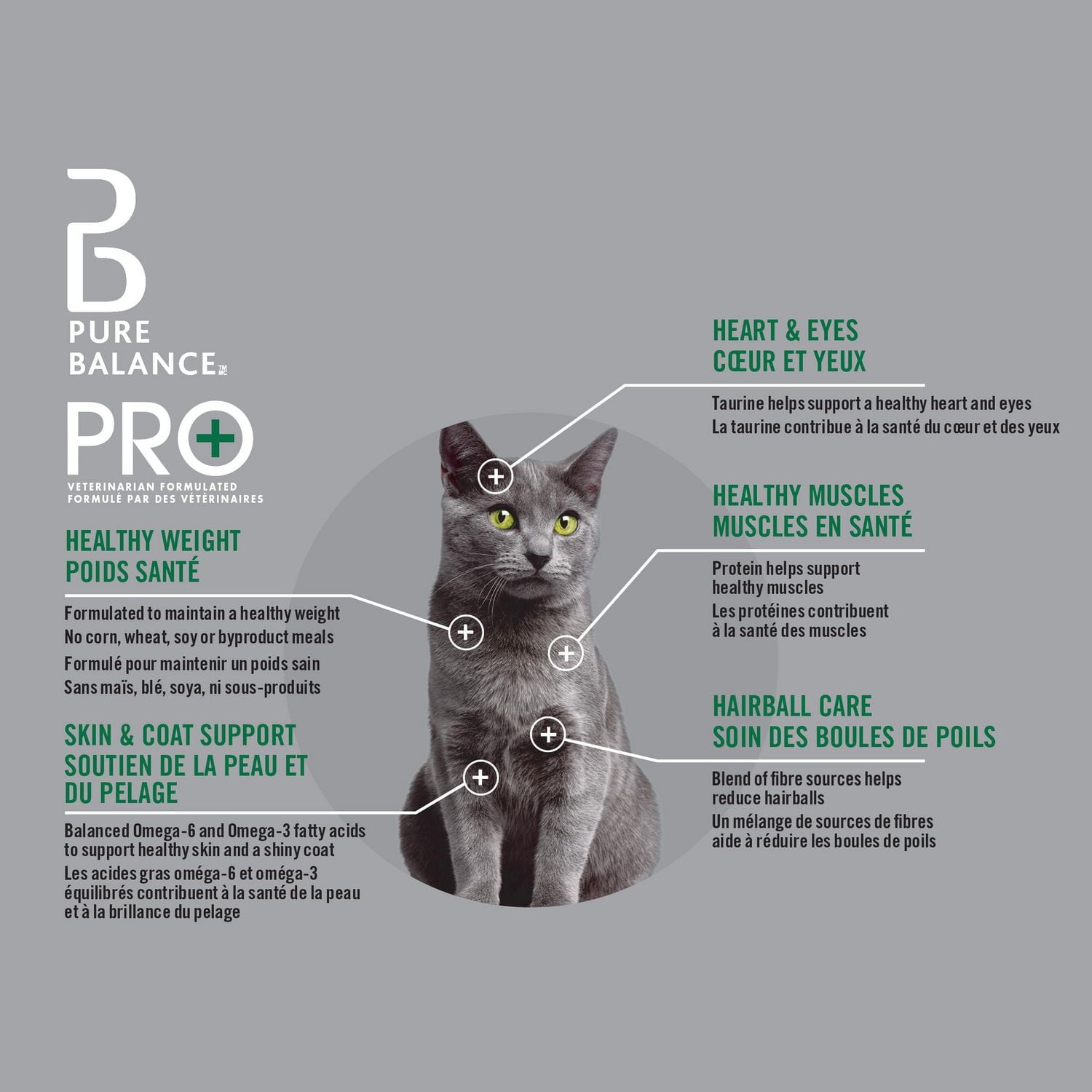 Pure Balance Pro+ Indoor Weight & Hairball Care with Salmon & Brown Rice Dry Cat Food, 100 g
