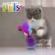 thumbnail image 1 of Juguete Huevo Mágico Fancy Pets Con Catnip Para Gato FL9425, 1 of 2