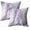 Muiti 14, variant on Set of 2 Art Fantastic Iridescent Colors Natural Luxury Modern Background Style Throw Pillow Covers 18X18 Inch Decorative Pillow Cases for Couch Bedroom Living Room