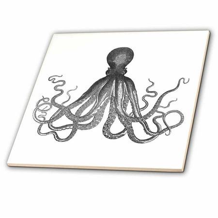 3dRose Vintage octopus - Black and white Lord Bodner kraken - Cthulu - nautical underwater sea giant squid - Glass Tile, 6-inch