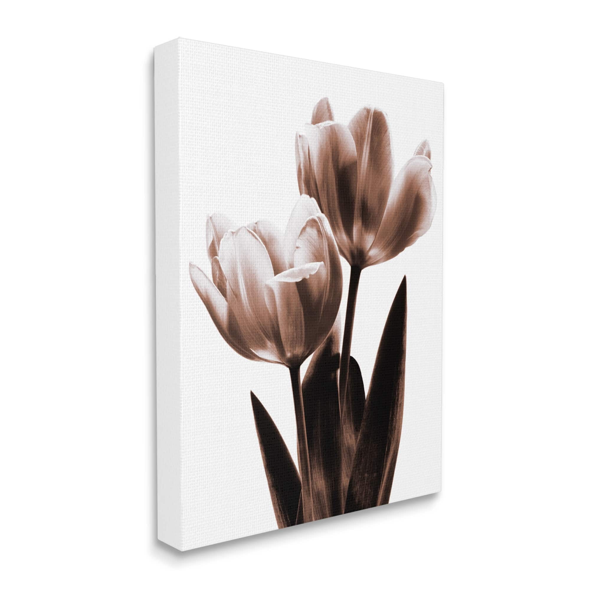Stupell Modern Tulip Silhouette Duo Botanical & Floral Photography Gallery Wrapped Canvas Print Wall Art