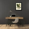 thumbnail image 4 of Vision Studio 19x24 Black Modern Framed Museum Art Print Titled - Buchoz Leaves V, 4 of 5