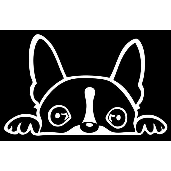 Boston Terrier Peeking Decal Sticker | 5.5-Inches Wide | White Vinyl Decal