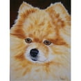 thumbnail image 1 of Carolines Treasures AMB1049CHF Pomeranian Drapeau Toile Taille Maison, 1 of 4