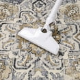 thumbnail image 2 of LOKHOM 5'x7' Boho Area Rug for Living Room, Non Slip Machine Washable Rugs Vintage Floor Carpet for Bedroom Dinning Room Kitchen, Beige Gray, 2 of 14