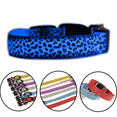 thumbnail image 3 of Harness and Leash | Leopard Design | Accessory for Walking Your Dog, 3 of 5