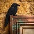 thumbnail image 4 of Diceymbol 9 Inch Wooden Raven Door Topper, Handcrafted Realistic Black Bird Corner Decor for Door Frames Shelves and Picture Frame Corners, Gift for Bird Lovers, 4 of 6