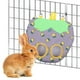 thumbnail image 3 of Comedero Para Conejos Bolsa De Heno Con Forma De Zanahoria Comedero Para Conejos Y Cerdos Bolsa De Heno Colgante Dispensador De Heno Comedero Para Animales Pequeños, 3 of 4
