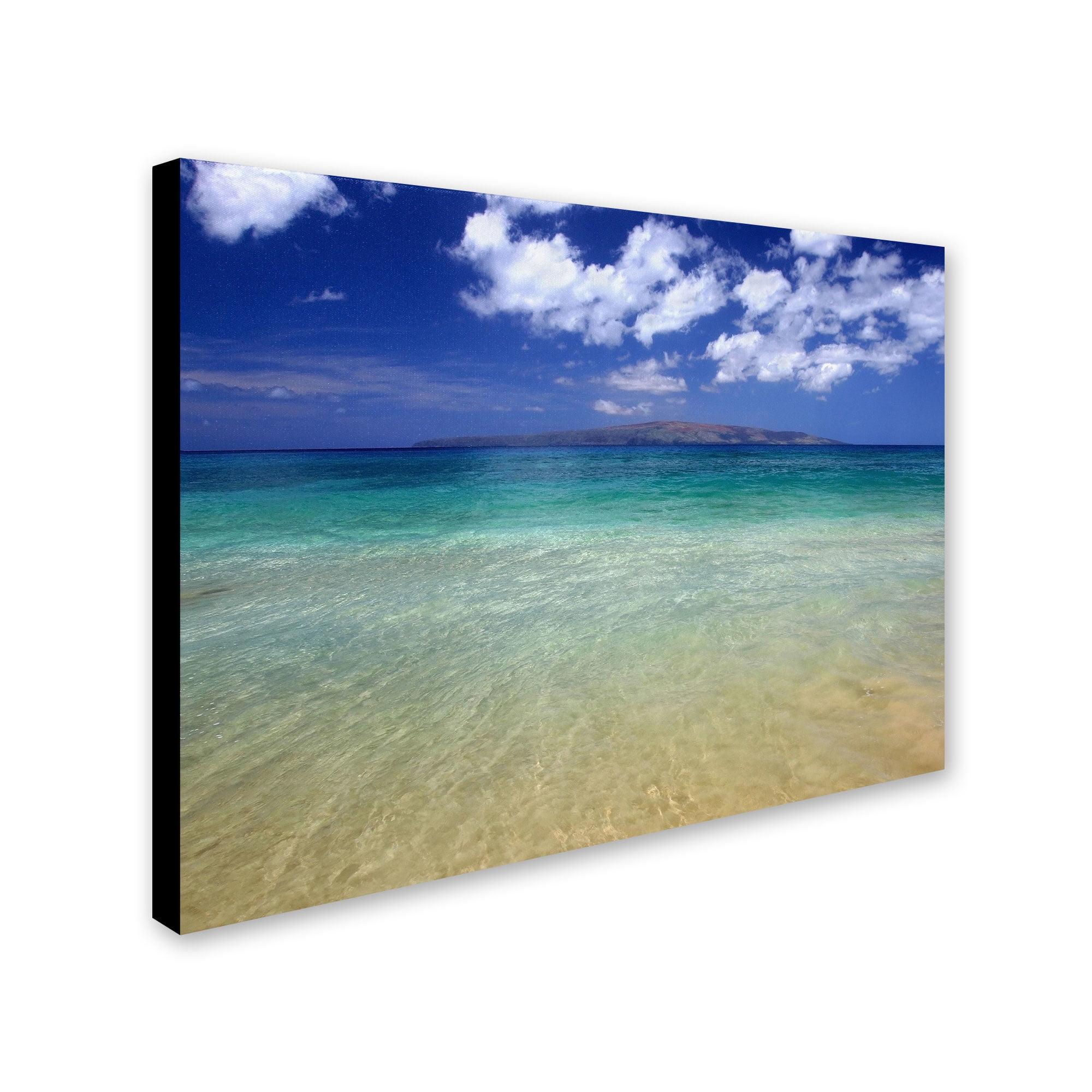 Trademark Fine Art "Hawaii Blue Beach" Canvas Art by Pierre Leclerc