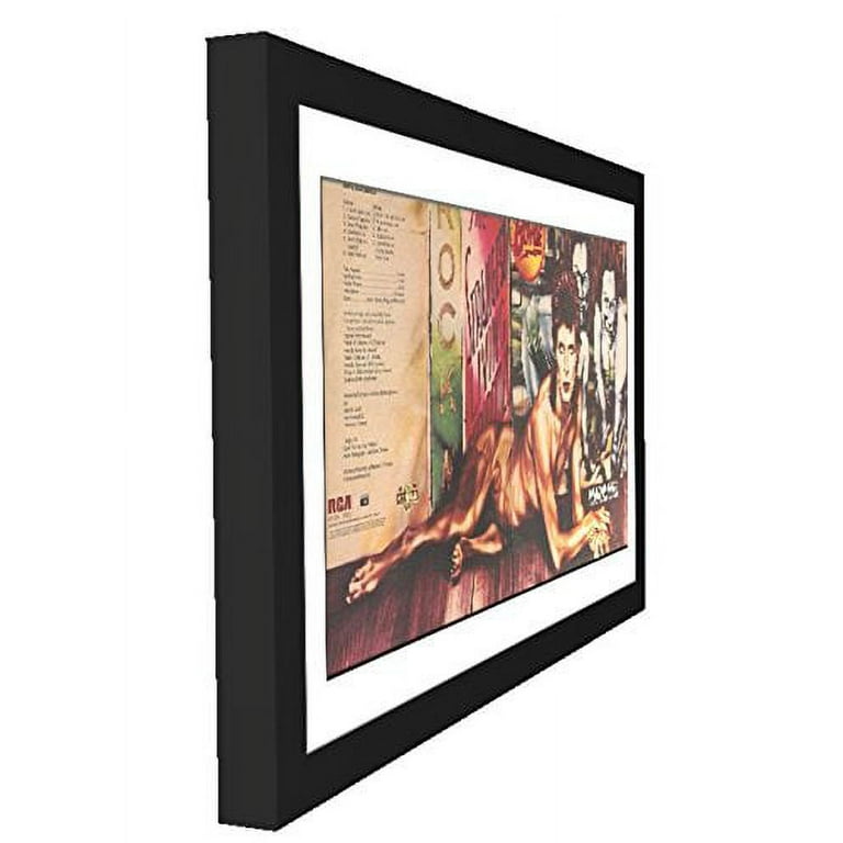 Creative Picture Frames Creativepf [15x28bk-w] Double LP Vinyl Record Frame Display with White Mat, Cover Insert, Glass and Wall Hanger