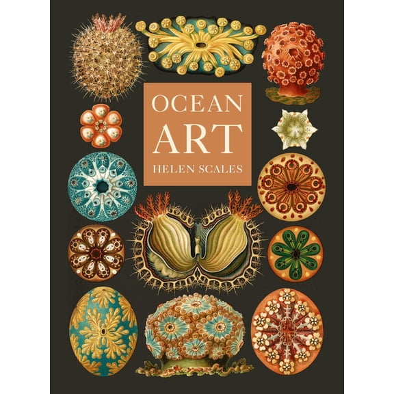 Ocean Art: From the Shore to the Deep, (Hardcover)