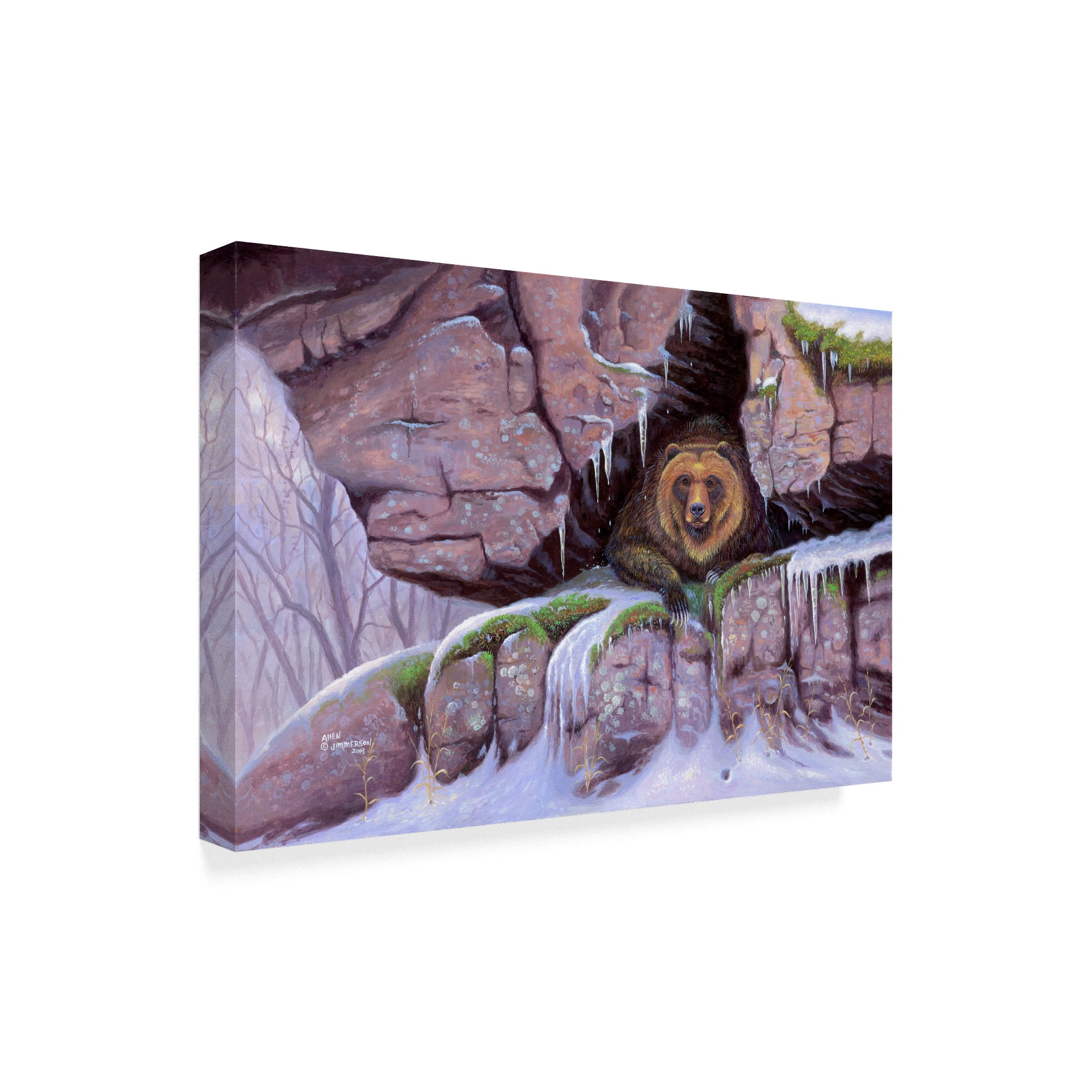 Trademark Fine Art 'Barely Awake' Canvas Art by Allen Jimmerson
