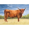 thumbnail image 2 of Eitel, Jen 14x11 Black Ornate Wood Framed with Double Matting Museum Art Print Titled - Highland Cattle, 2 of 4