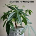 Money Tree Potting Soil Mix (4 Quarts); Custom Blend for Money Plant
