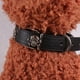 thumbnail image 4 of KAKOWELY collar de cuero negro con diseño de calavera para Halloween, ajustable, para mascotas, suministros para perros y cachorros., 4 of 4