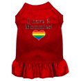 thumbnail image 1 of I Have 2 Mommies Screen Print Dog Dress Red Xs, 1 of 1