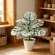thumbnail image 5 of Planta Bonsái Artificial de Monstera Deliciosa para Interiores con Ramas Ajustables, Follaje Realista, 45cm para Decoración de Hogar, Oficina y Dormitorio, 5 of 7