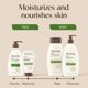 thumbnail image 3 of Aveeno Daily Moisturizing Fragrance-Free Prebiotic Oat Face/Facial Cream Clinically Proven to Moisturize Dry Skin for 24 Hours, Paraben-, Fragrance- & Dye-Free, 5 oz, 3 of 6