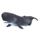thumbnail image 1 of Figura De Animal Marino, Aprendizaje De Simulación De Modelo De Animal Marino Realista Para Niños, 1 of 7