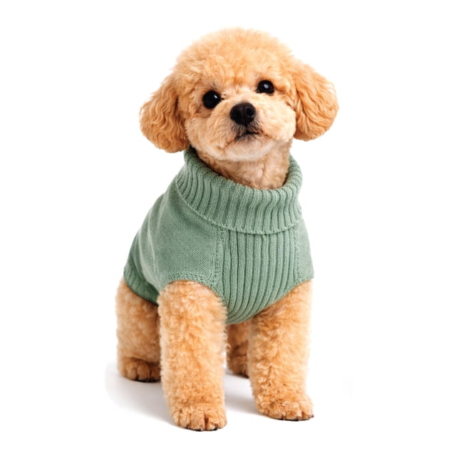 One Paw, Sage Green Ribbed Turtleneck Dog Sweater, Colour Sage, Soft and Warm, Multiple Sizes, for Dogs