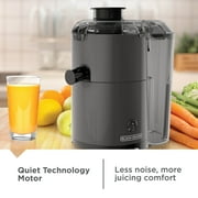 BLACK+DECKER Fruit & Vegetable Juicer Extractor, 400-Watt, Quiet, Black Plastic