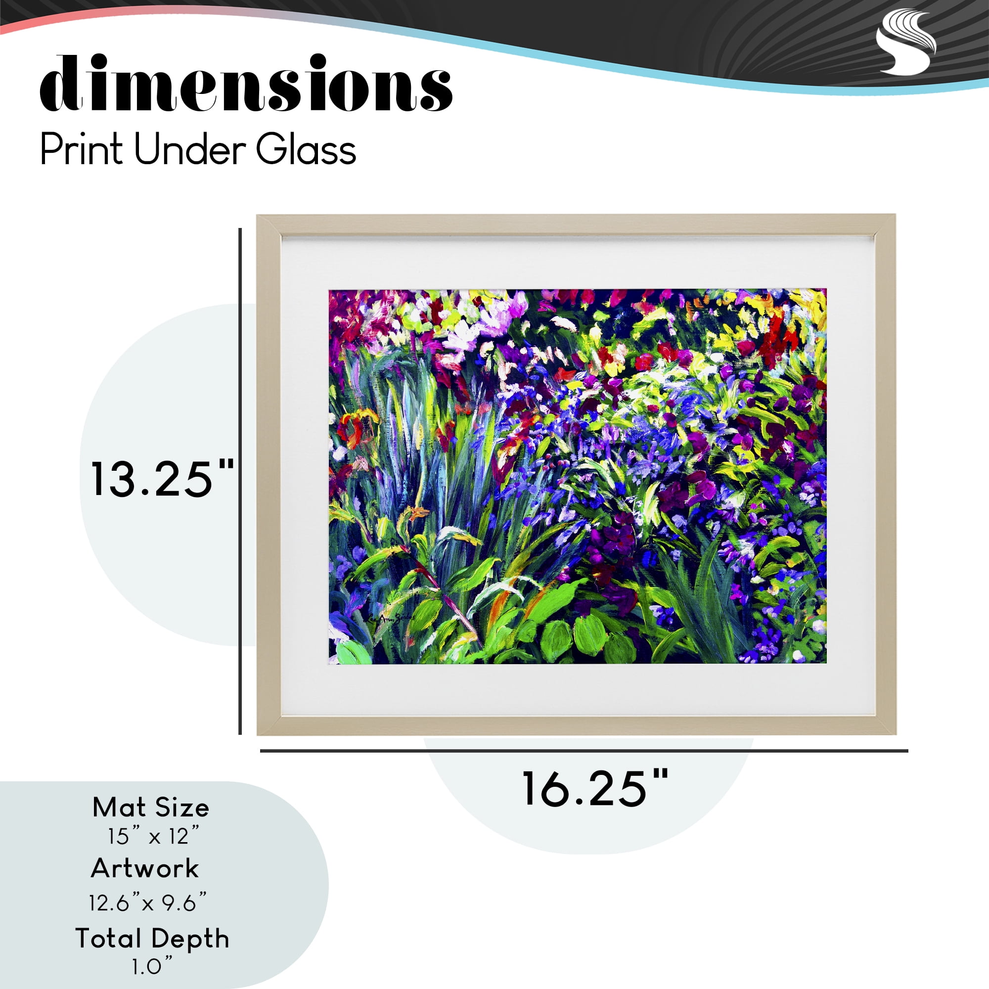 Stupell Industries Vibrant Confetti Garden Birch Framed Print Under Glass, design by Lee Ann Zirbes