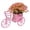 pink, variant on Creative Three Wheeled Vintage Bicycle Simulation Ornament With Floral Decoration For Desktop Living Room Shelf And Home Accent Piece (White)