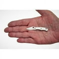 thumbnail image 2 of Spyderco Bug Stainless Steel PlainEdge Folding Knife, 2 of 8