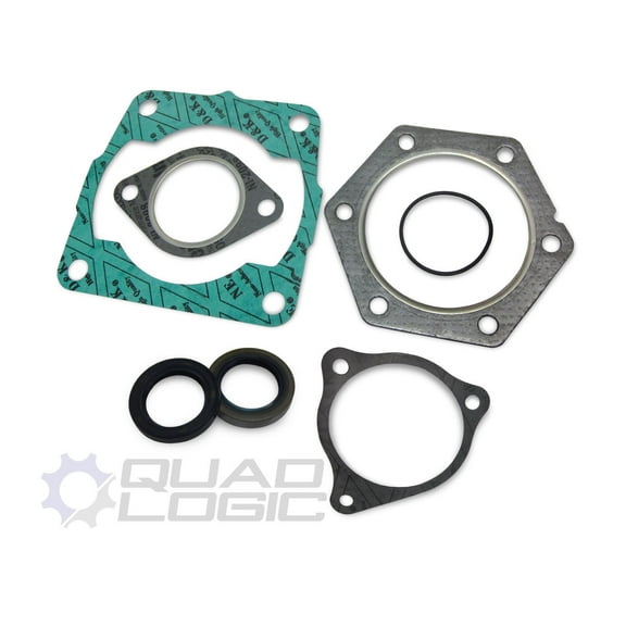 Polaris 300 Xplorer 300 Xpress 300 2x4 4x4 Complete Engine Gasket Set with Seals