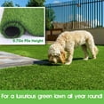 thumbnail image 3 of LITA Artificial Grass 13x24(312 Square FT),0.8in Pile Height Multi-Sizes Artificial Turf Outdoor Grass, 3 of 8