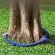 thumbnail image 1 of 360°Tree Water System Tree Root Watering Tool, Ring Circle Sprinkler Irrigation System Targeted Wate, 1 of 5