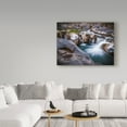 thumbnail image 3 of Trademark Fine Art 'Falls' Canvas Art by Giuseppe Torre, 3 of 3