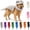 Gray, variant on Dog Cat Pet Dinosaur Skeleton Costume Soft Plush Dino Outfit,Glow in The Dark Dog Dinosaur Costume Halloween Pet Outfit,Realistic 3D Skeleton Funny Costume for Dogs Big Breeds for Family